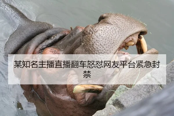 某知名主播直播翻车怒怼网友平台紧急封禁